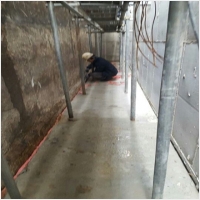 대전서구페인트공사-5452521